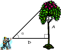 midiendo la altura de un �rbol