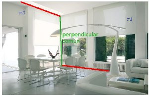 Perpendicular común